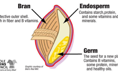 9 facts about whole grains you absolutely need to know